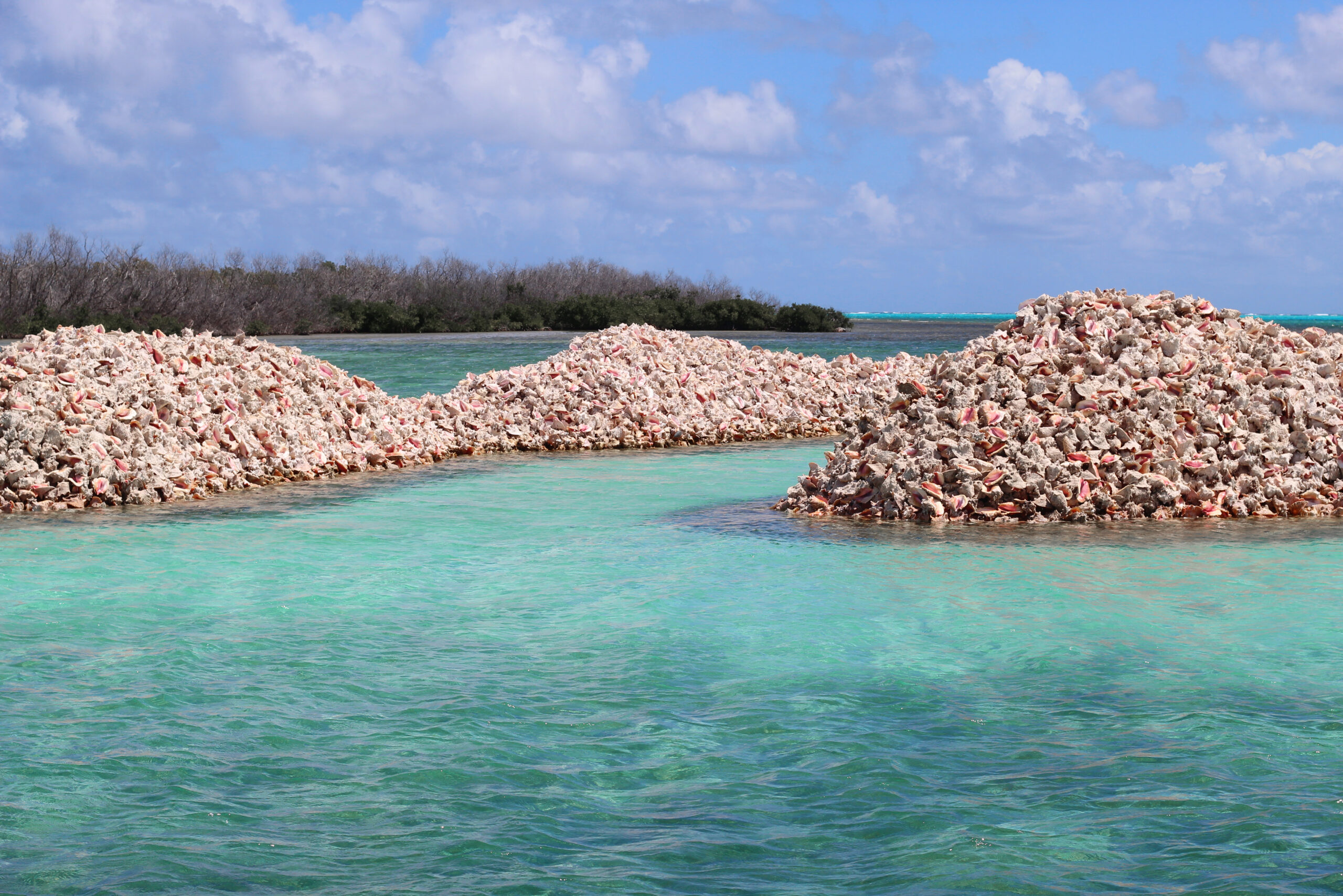 Conch,Island,In,Anegada,,British,Virgin,Islands