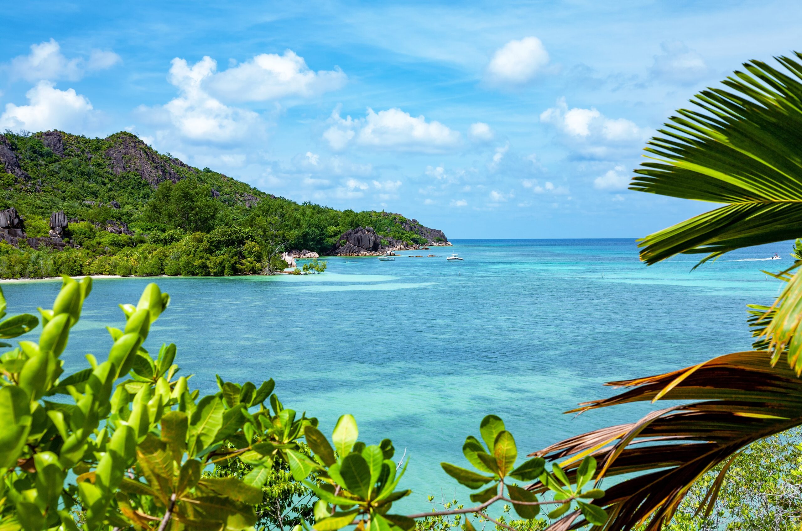 Island,Curieuse,,Indian,Ocean,,Republic,Of,Seychelles,,Africa.,Island,Curieuse