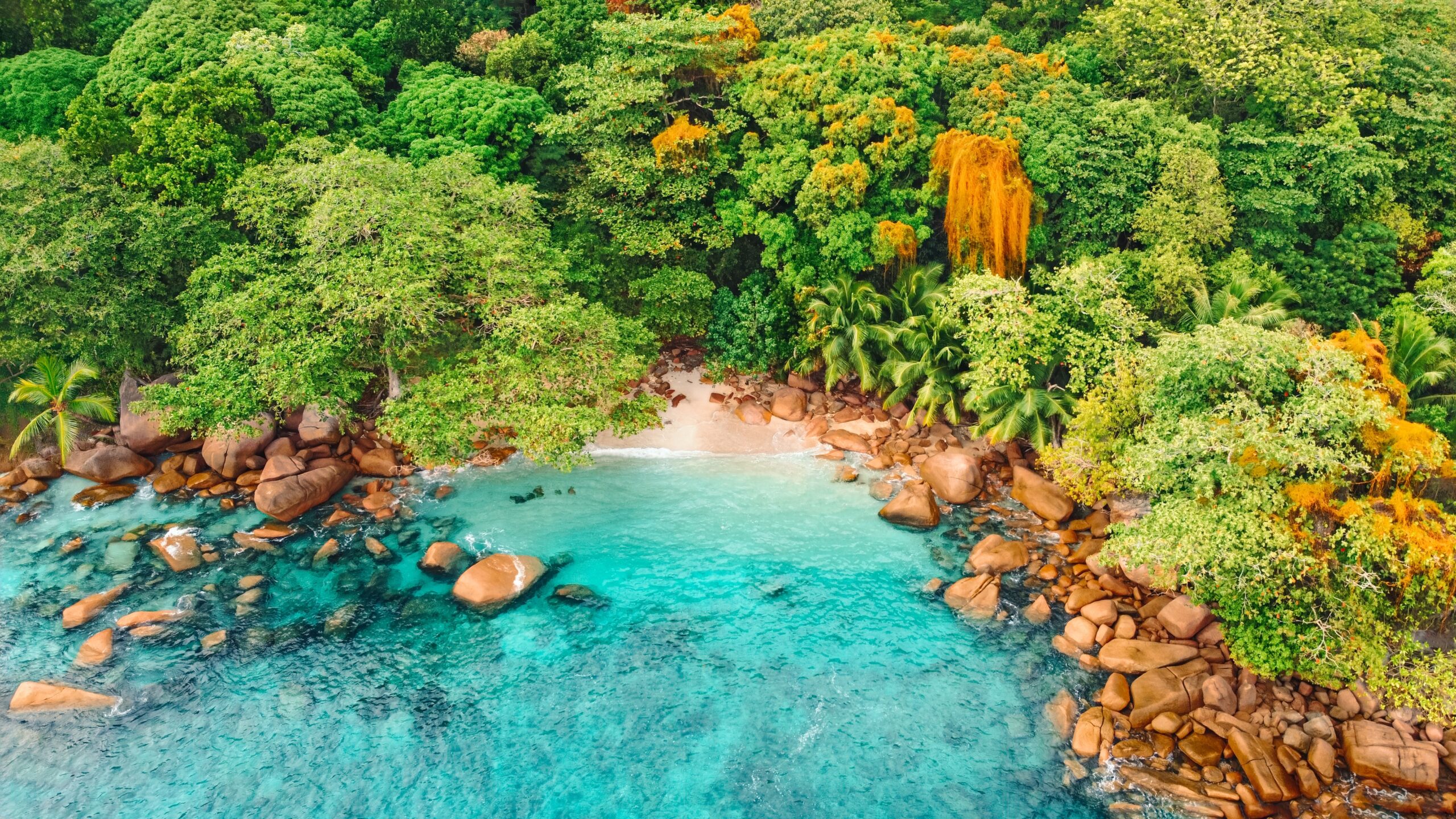 Aerial,View,Of,A,Secluded,Tropical,Beach,With,Vibrant,Turquoise