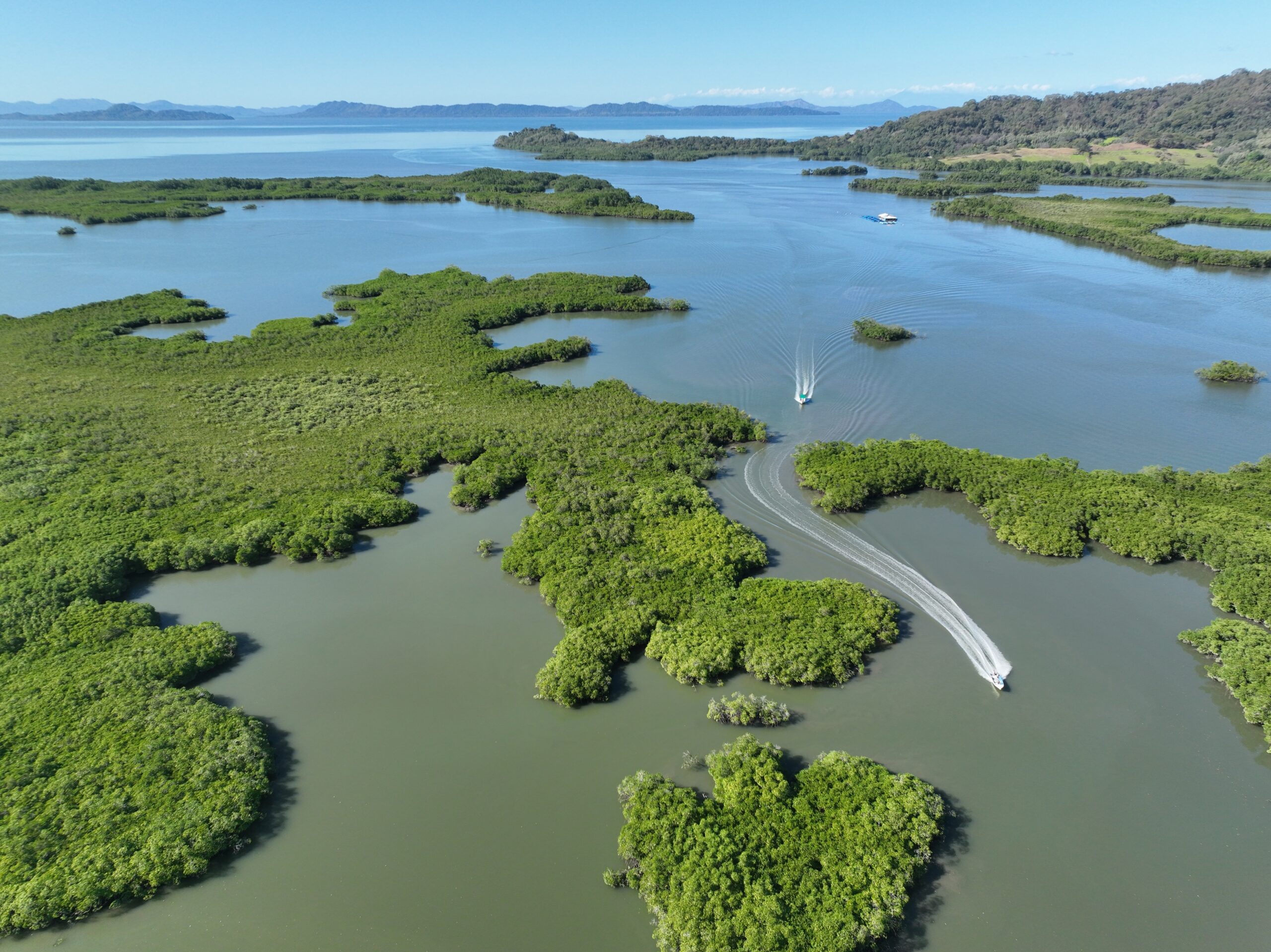 Golfo,De,Nicoya,,Isla,Venado,,Mangrove,And,Other,Tropical,Islands