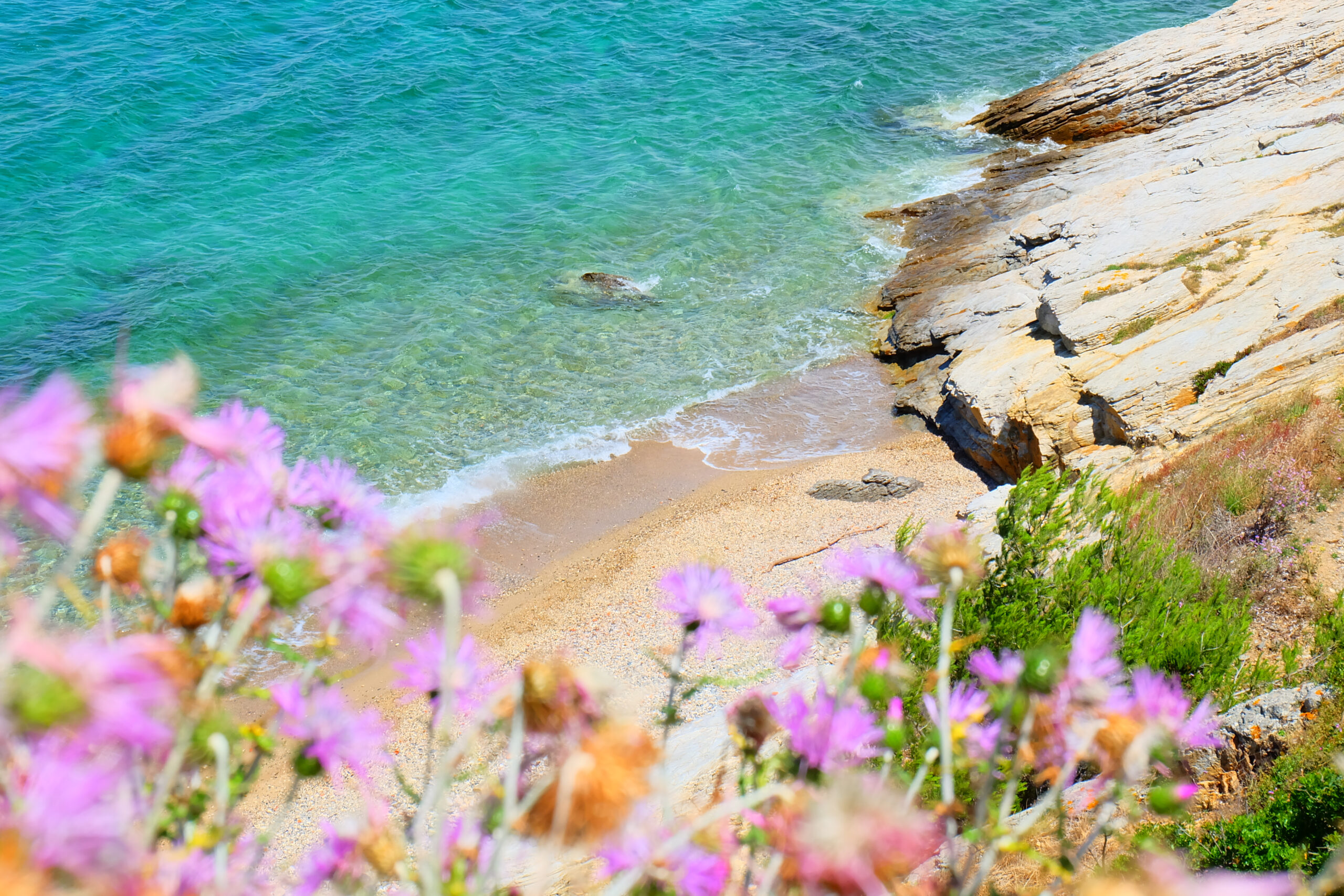 Nature,Of,Porquerolles,Island,,France