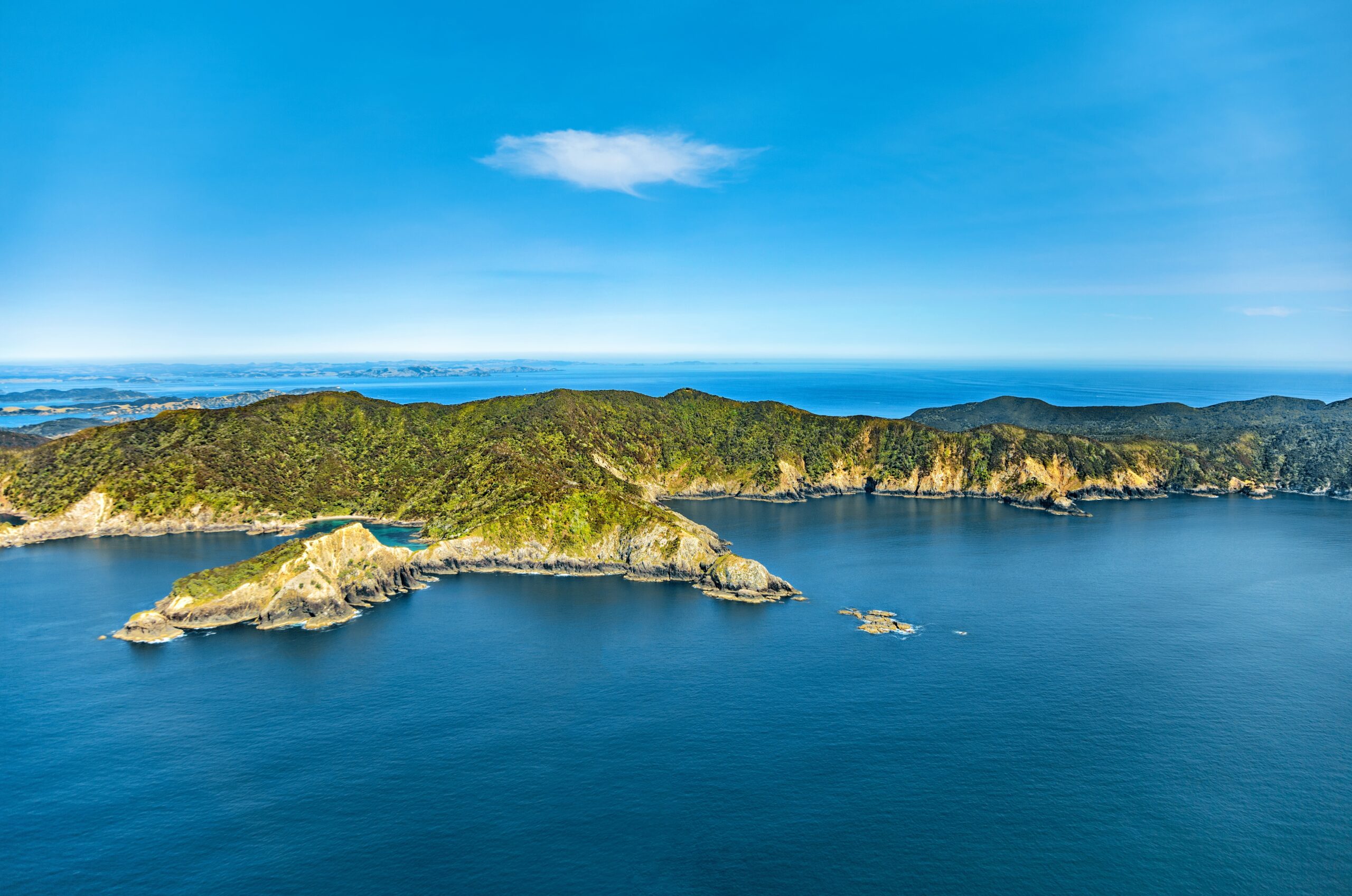 Whangamumu,Coast,,North,Island,,New,Zealand,,Oceania.,Aerial,View,Of