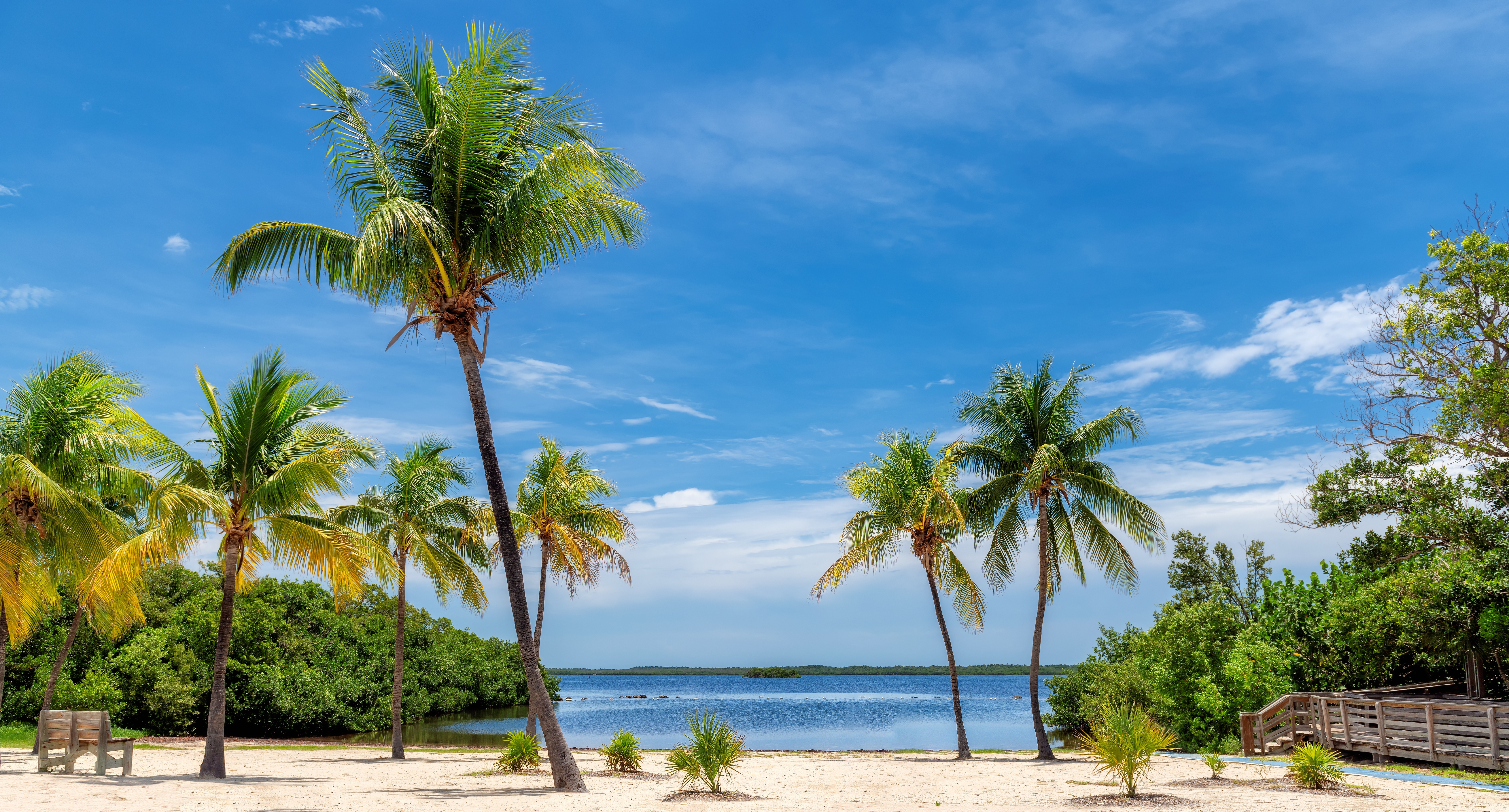 Palm,Beach,And,Tropical,Sea,In,Key,Largo,Beach,,Florida.