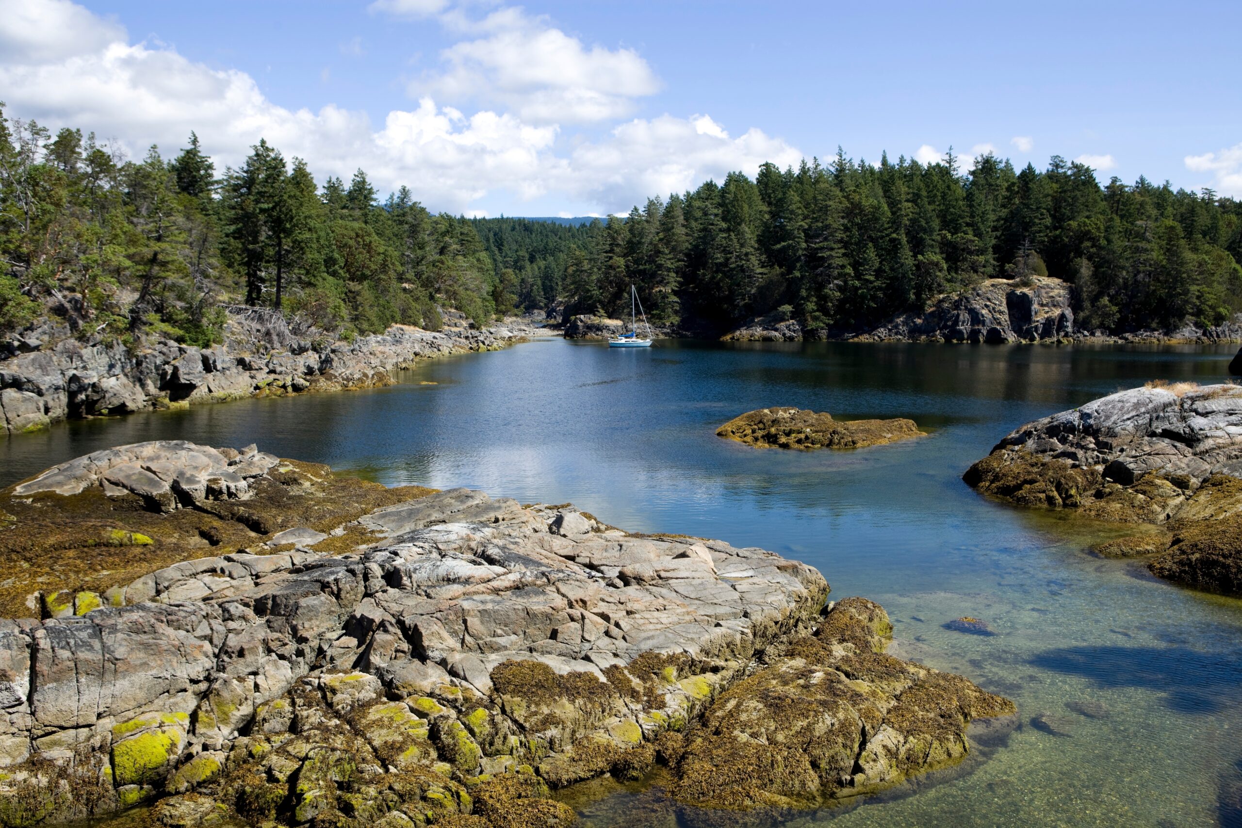 Smuggler,Cove,Marine,Provincial,Park,Near,Sechelt,,British,Columbia.,Smuggler