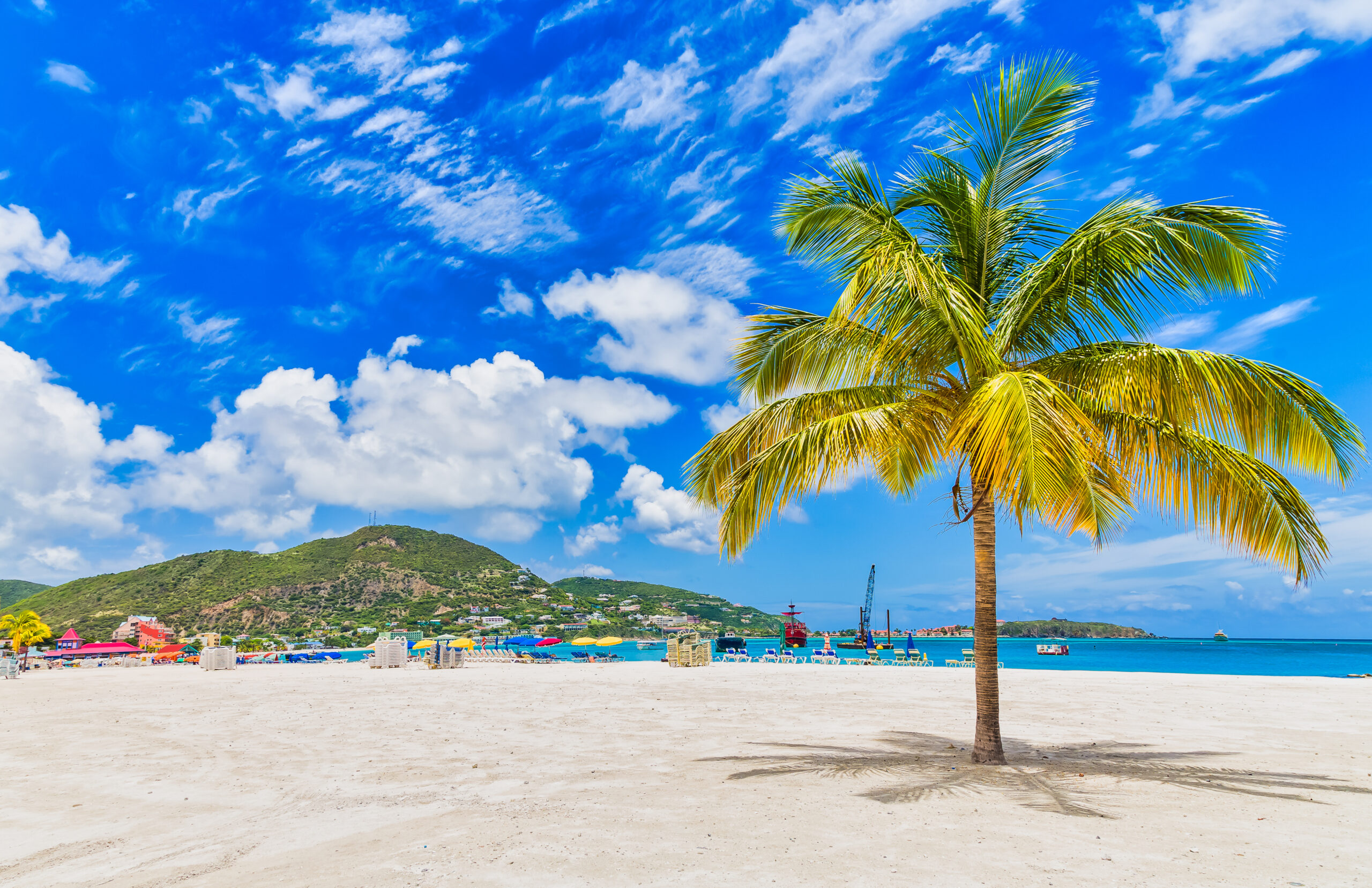 St Martin-Philipsburg-Palm tree on a beautiful beach